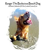 Ranger The Bodacious Beach Dog book cover