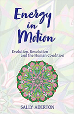 Energy in Motion-Evolution, Revolution and the Human Condition book cover