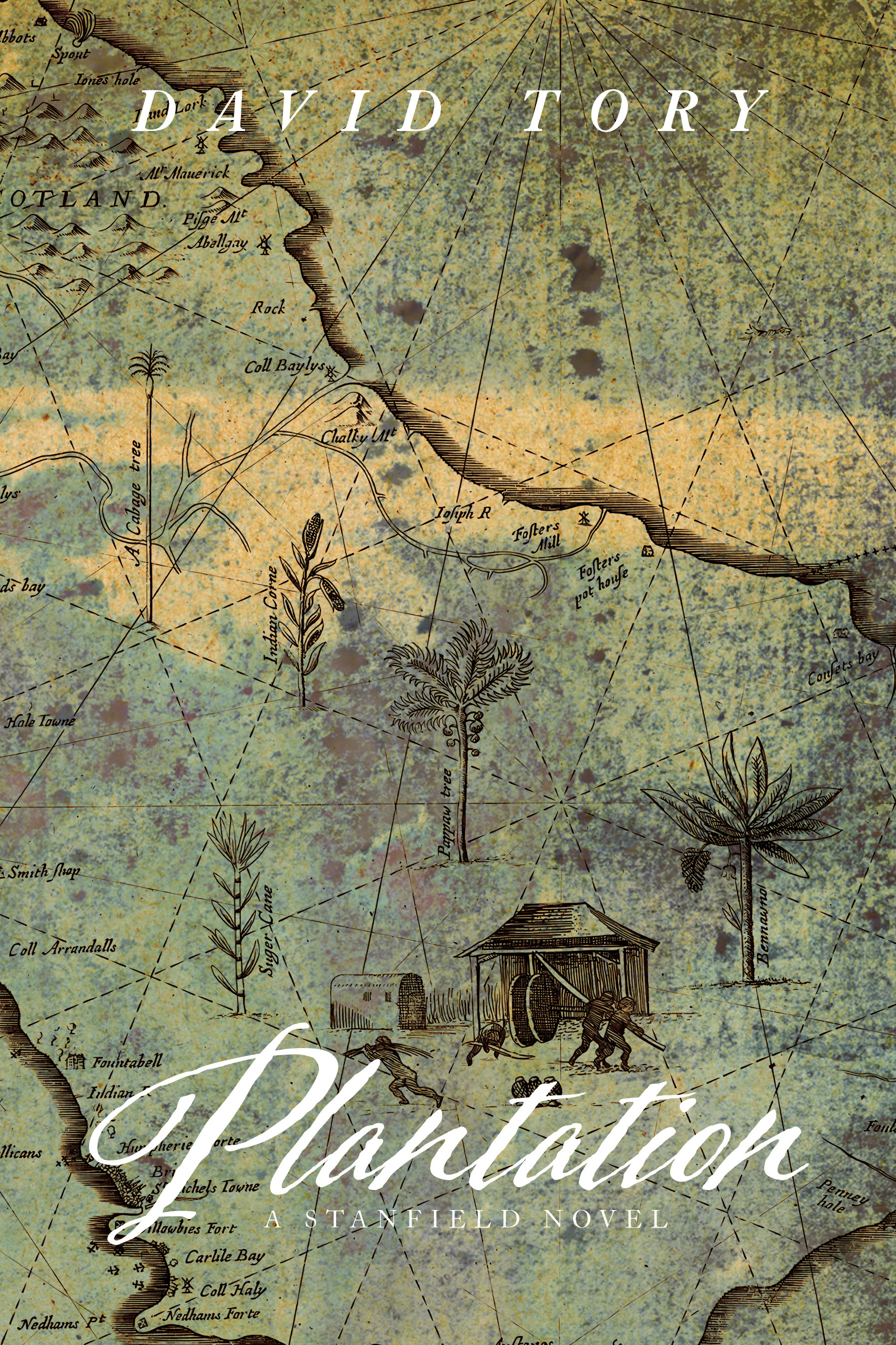 Plantation Book Cover